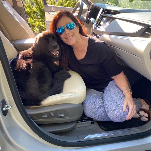 Meet your Posher ~ Jude💕 - Picture 7 of 8